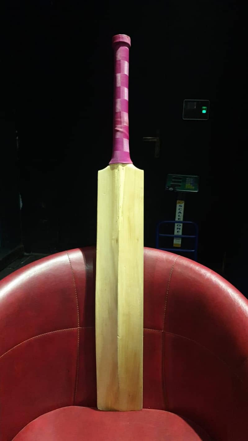 Premium Hard Ball Bat 2