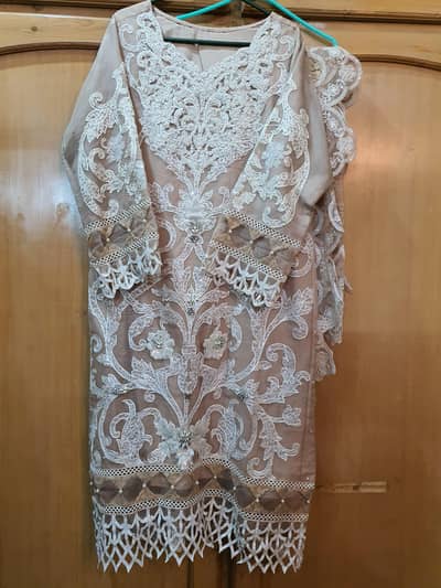 Organza festive dress