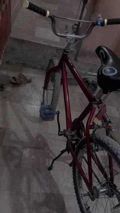 Zabardast Condition Cycle Bilkul Fit Cycle For Sale