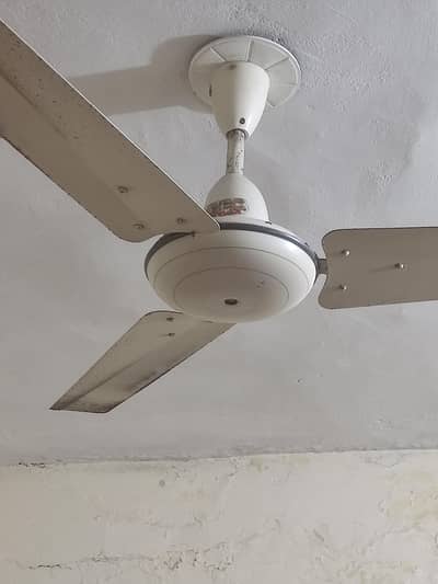 GFC ceiling fan