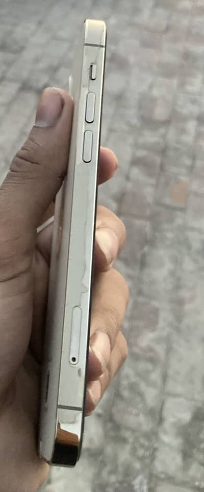 Apple iPhone 12 Pro