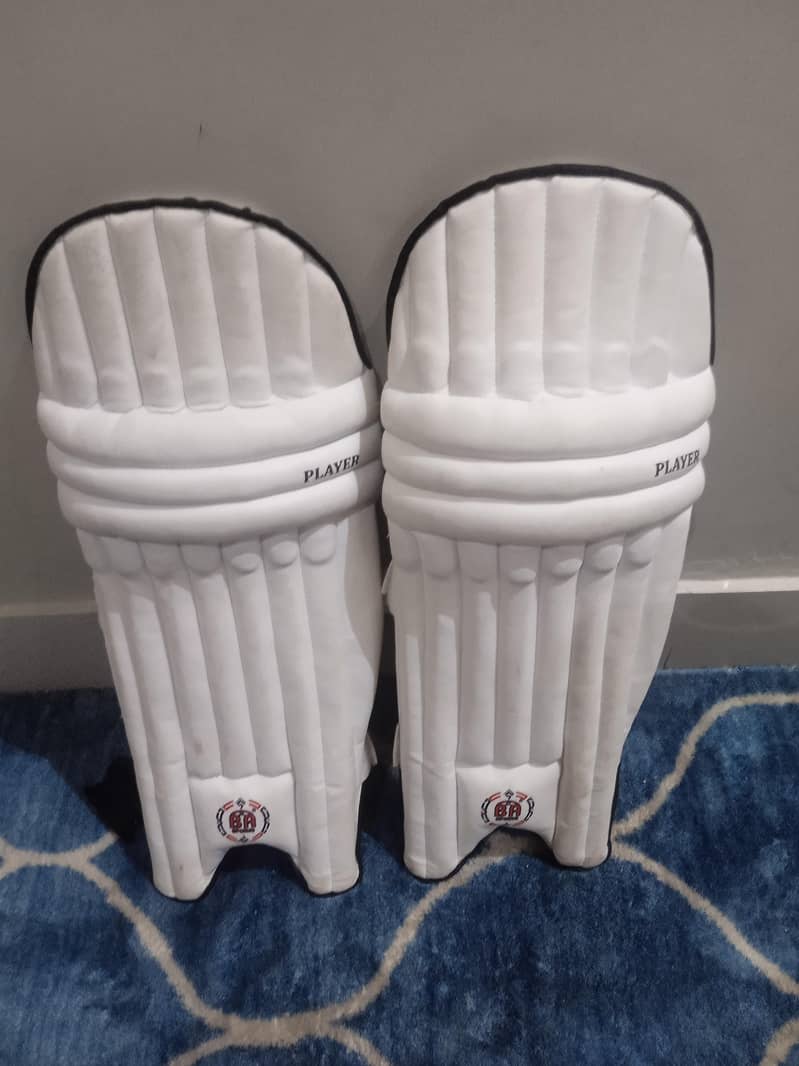 cricket kit 1