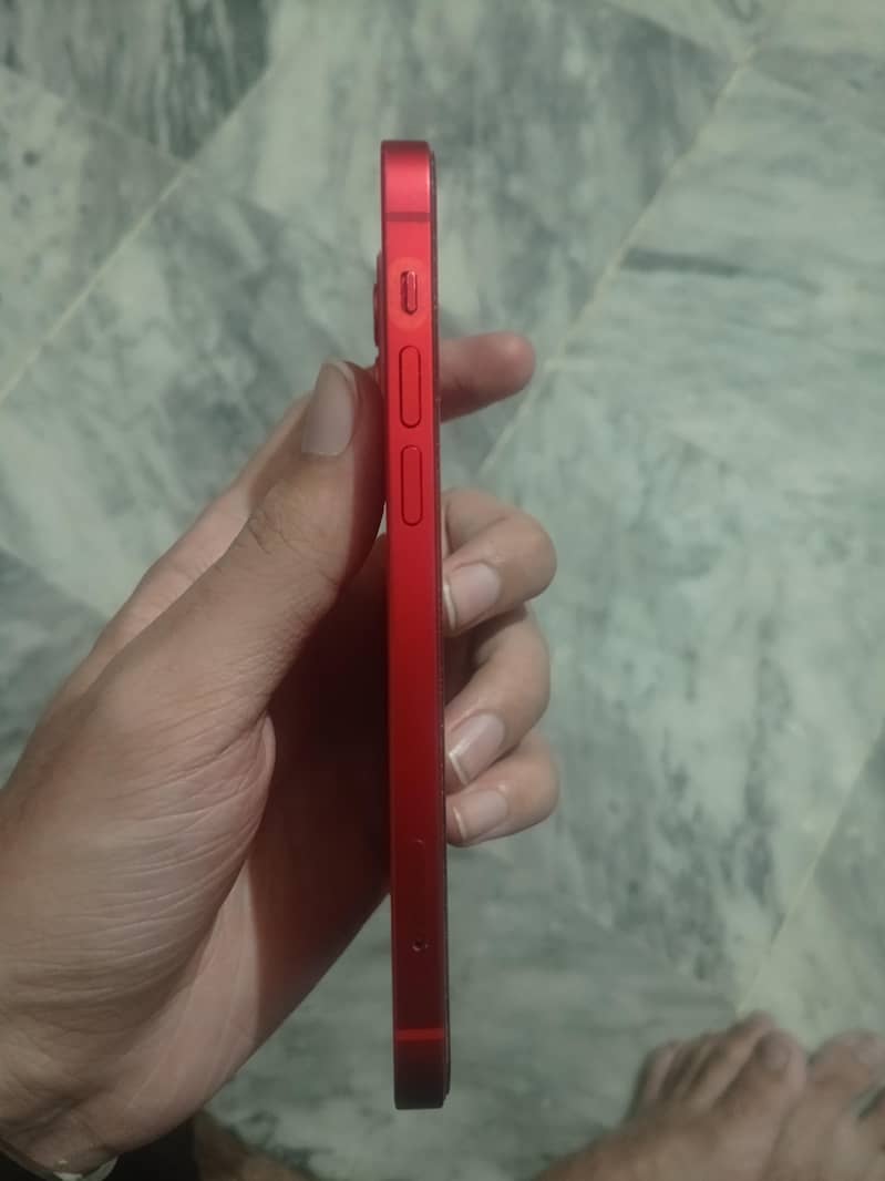 Apple iPhone 12 1