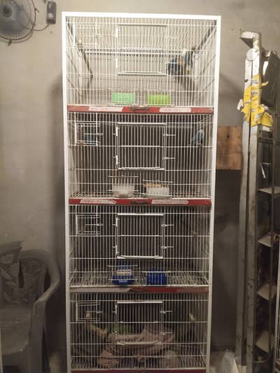 Love bird cage