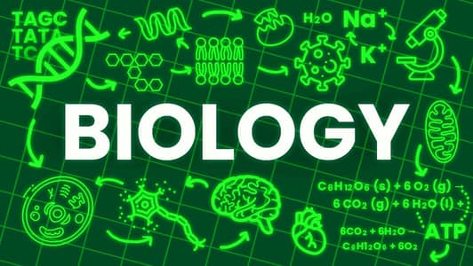 I'm giving tuition for BIOLOGY ( all board ) / grade kg till 5