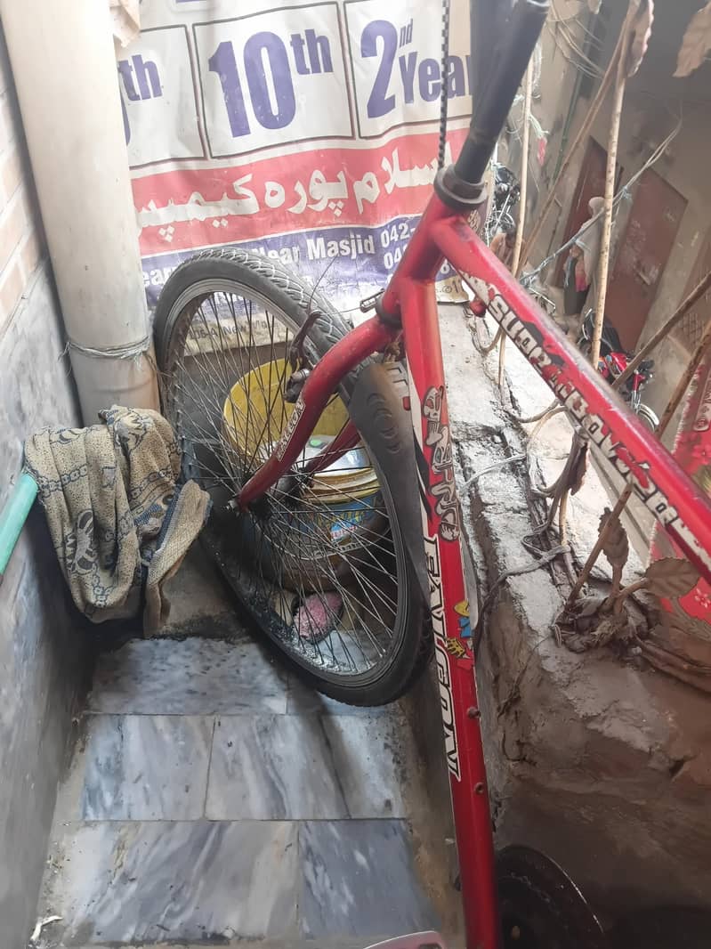 cycle 2