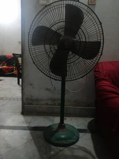 Crown Star Fan