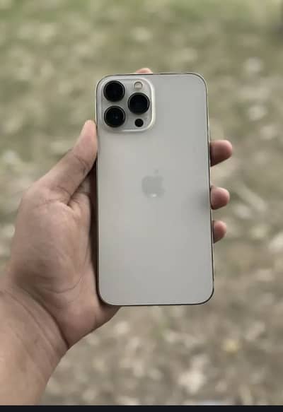 Apple iPhone 13 Pro Max