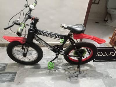 BiCycle Sale
