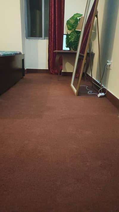 carpets musted color one room