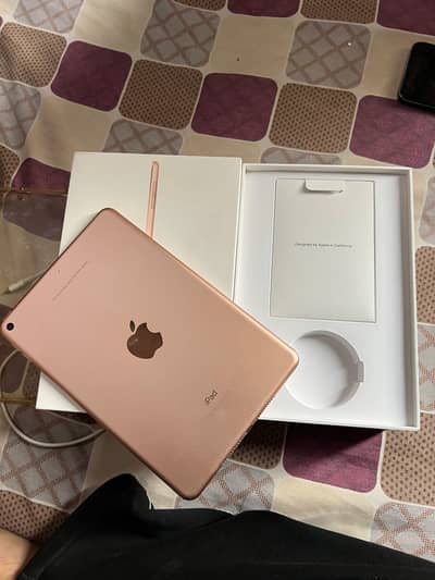 Ipad mini 5