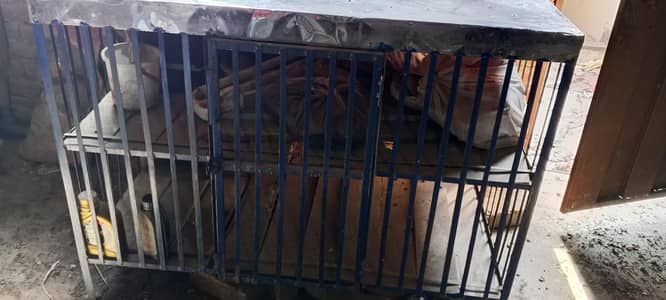 pinjra Sale 4/3 unchi 3feet achi condition man han