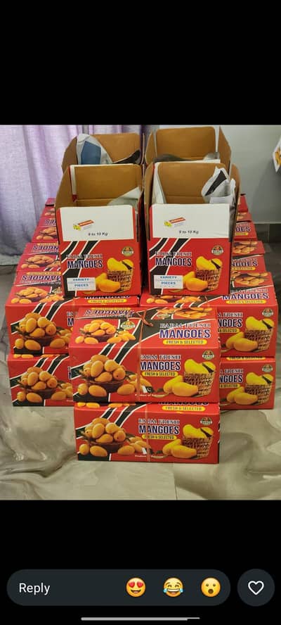 Sindhri Mango for sale