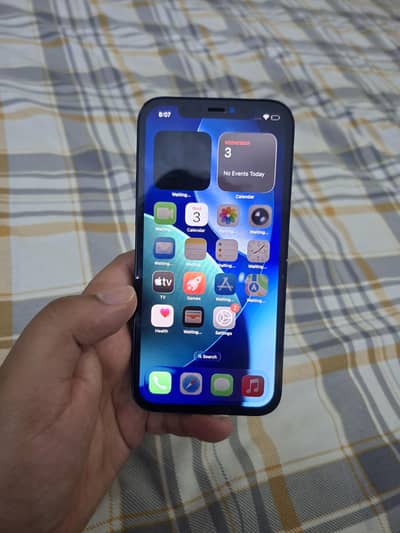 Apple iPhone 12