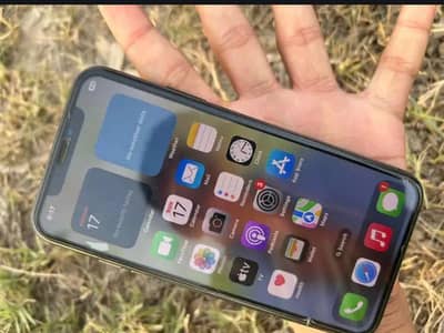 Apple iPhone X only