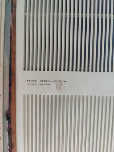 110 Ac Corona