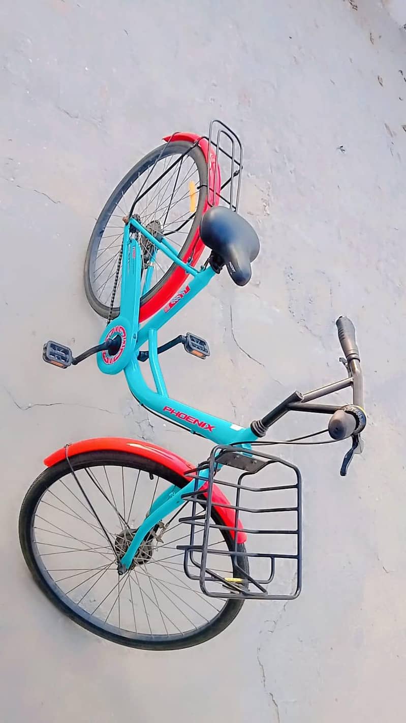 bicycle 1
