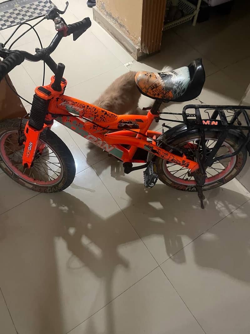 Bicycle 0
