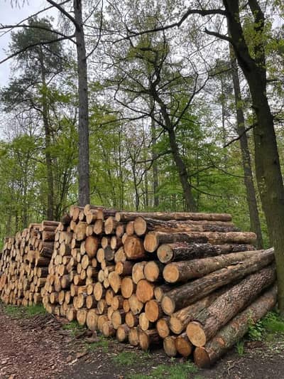 wood available