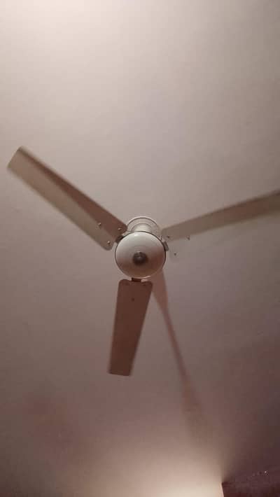 Ceiling fans.  GFC.  ROYAL.  PAKFAN