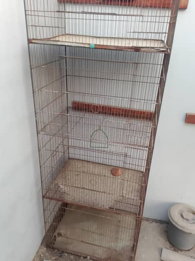 bird's cage