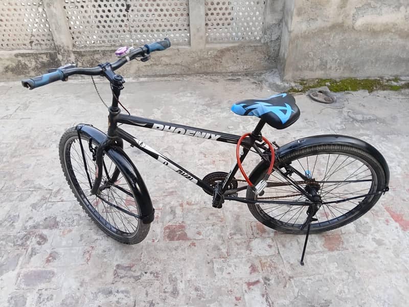 cycle perfect condition 1