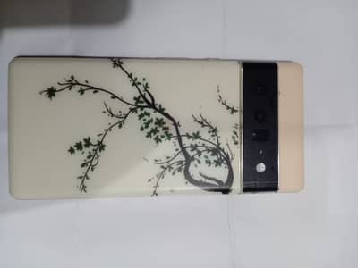 google pixel 6 pro exchange possible