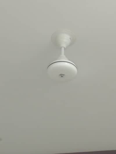 Indus ceiling fan