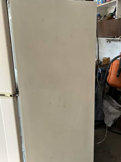 Medium Size freezer