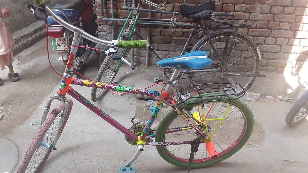 jpani cycle 1