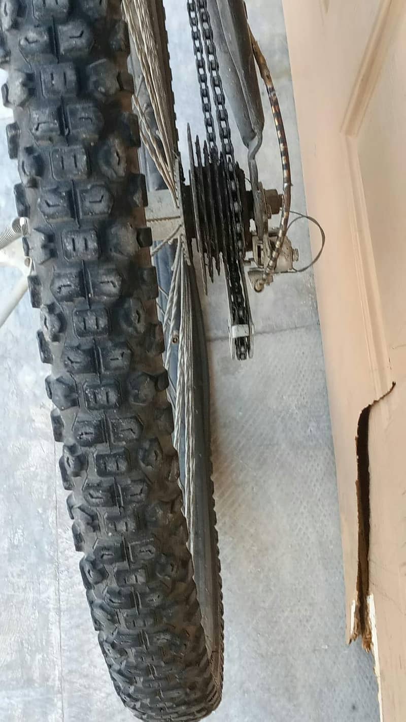full size cycle 4
