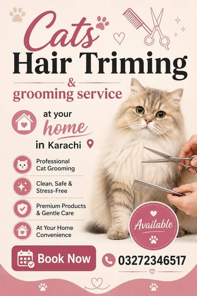 Cats grooming and trimming service at your home