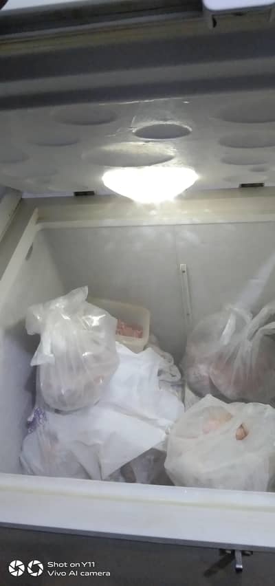 fridge + deep freezer