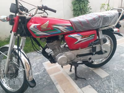 Honda 125 23 All Punjab number