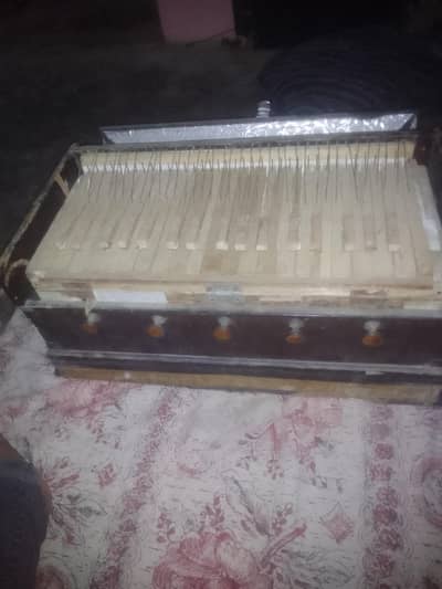 urgent sale