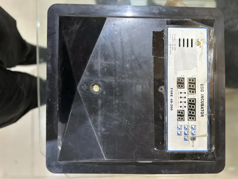 Incubator 56 eggs