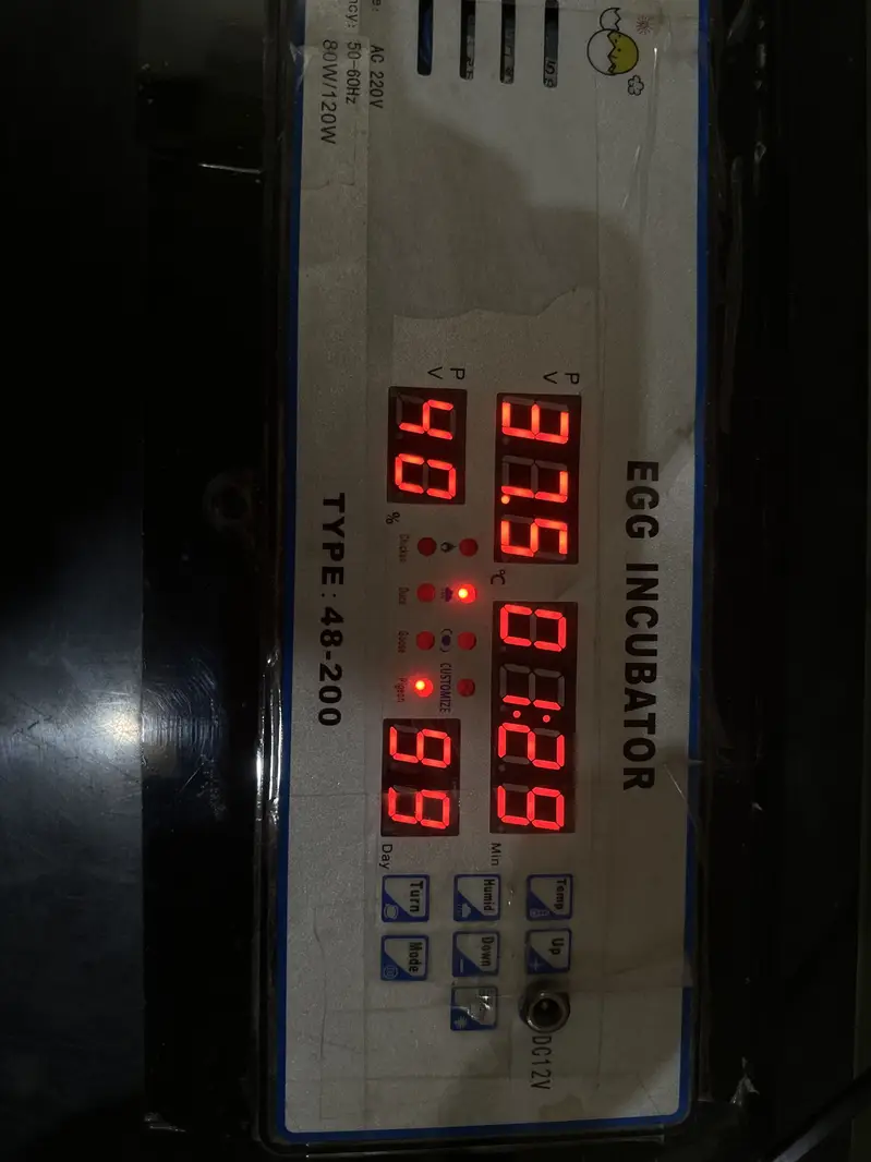 Incubator 56 eggs — photo 4