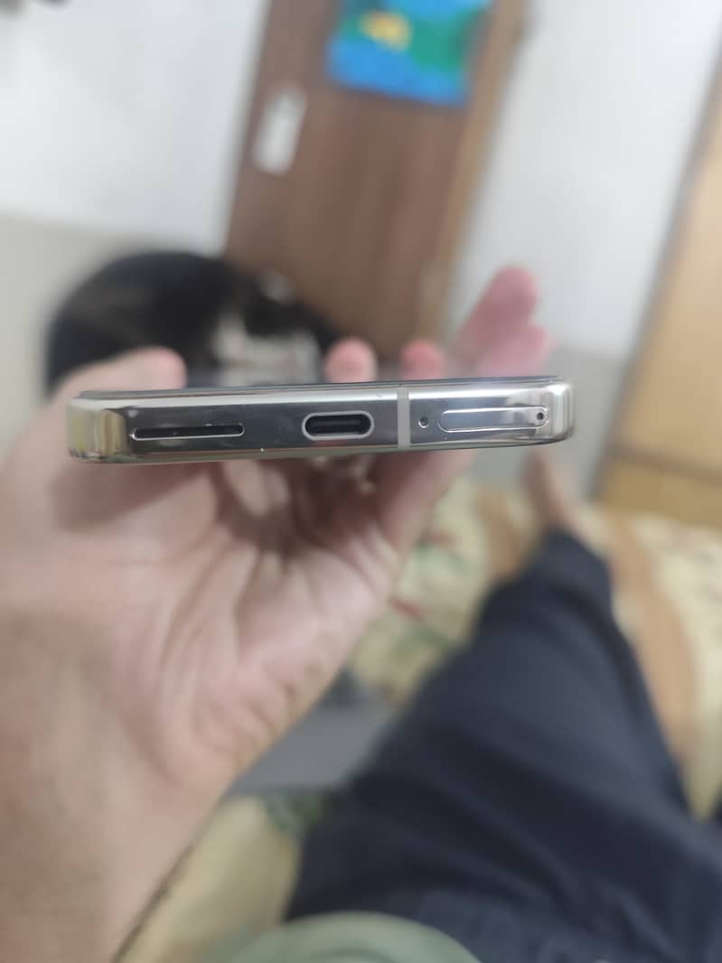 Google Pixel 9 Pro 4