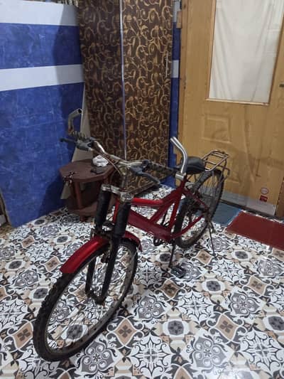 cycle in reasonable  price