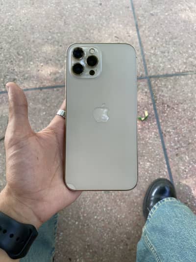 Iphone 12 pro max pta approved