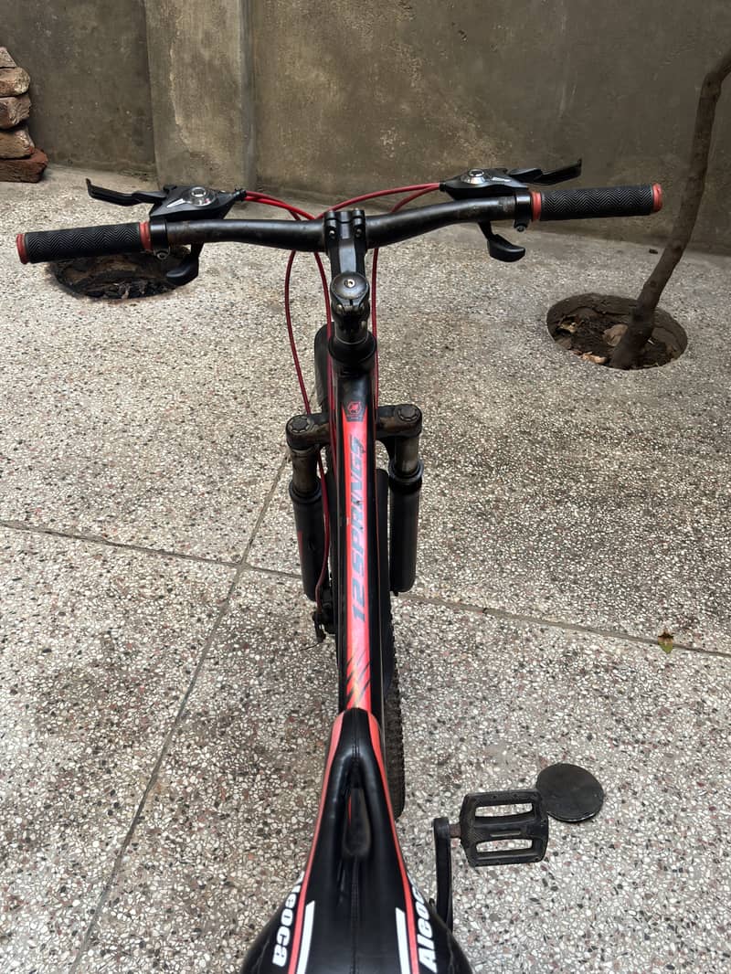 Cycle 3