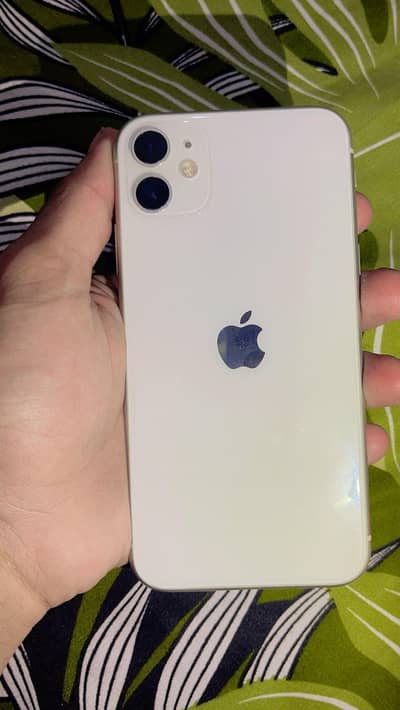 Apple iPhone 11