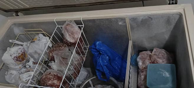 deep freezer  good condition