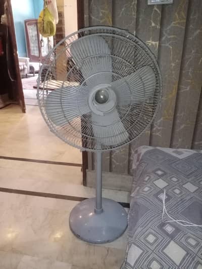 fan sale