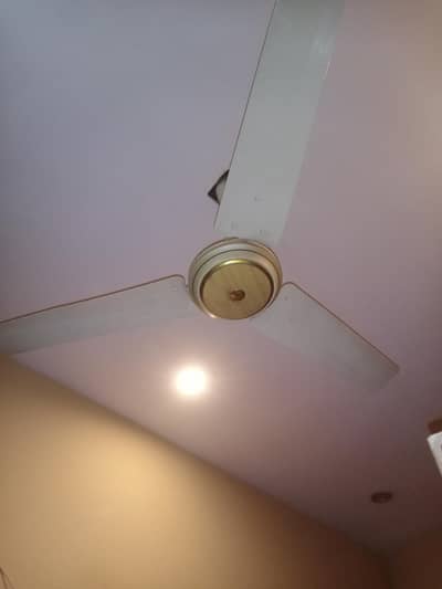 fan for sal