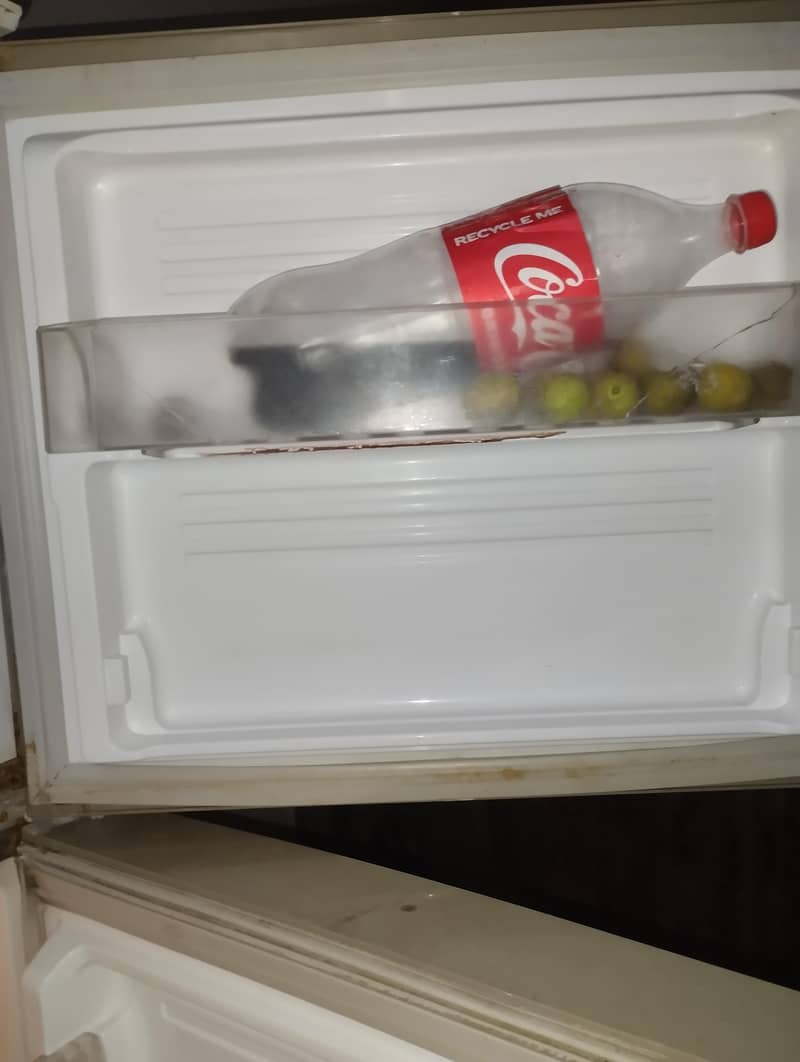 frige 5