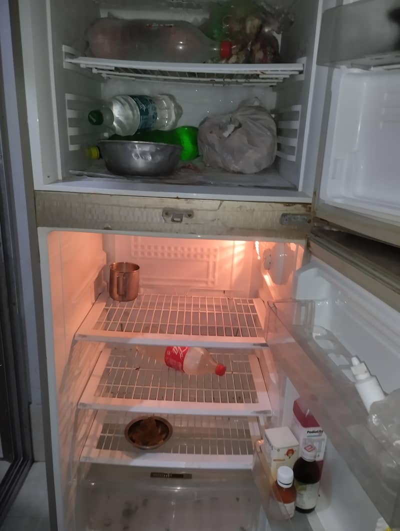 frige 6