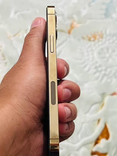 Apple iPhone 12 Pro