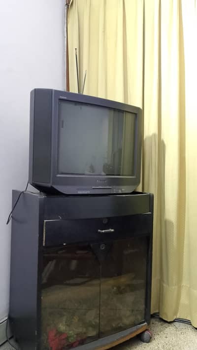 Sony Trinitron CRT TV (Used, Working)