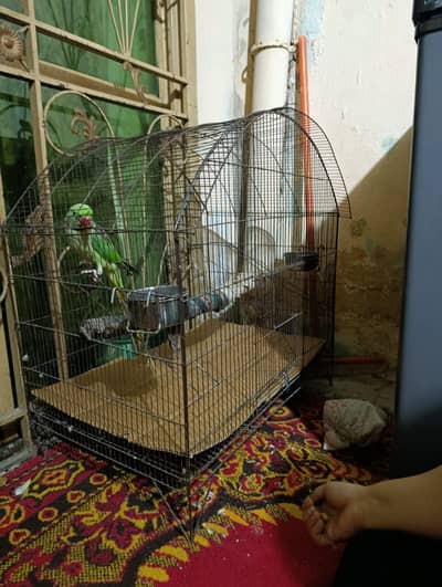 without parrot